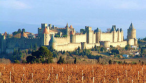 carcassonne vigne